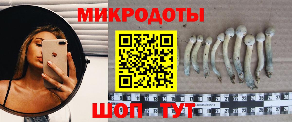 Псилоцибиновые грибы Cubensis Ликино-Дулёво